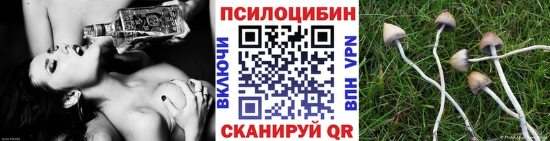 Галлюциногенные грибы GOLDEN TEACHER  Александровск 